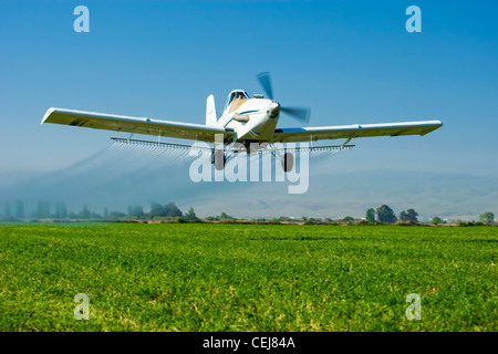 Landwirtschaft - weiße Sprühflugzeug Tiefflug beim Sprühen eine Luzerne Bereich / in der Nähe von Tracy, San Joaquin County, Kalifornien, USA. Stockfoto