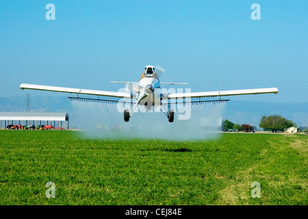 Landwirtschaft - weiße Sprühflugzeug Tiefflug beim Sprühen eine Luzerne Bereich / in der Nähe von Tracy, San Joaquin County, Kalifornien, USA. Stockfoto