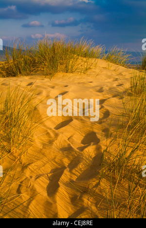 Sonnenuntergang auf Sanddünen und Rasen am Tal y Bont Beach North Wales UK Stockfoto