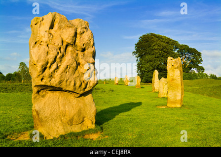 Großen steinernen Monolithen der Steinkreis von Avebury in Wiltshire Weltkulturerbe Wessex England UK GB Europa Stockfoto