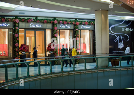 Sandton City Shopping Mall, Johannesburg, Gauteng Stockfoto