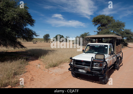 Touristen im Spiel Fahrzeug Gnus in der Ferne zu beobachten in der Nähe von Xaus Lodge, Kgalagadi Transfrontier Park, Northern Cape Stockfoto