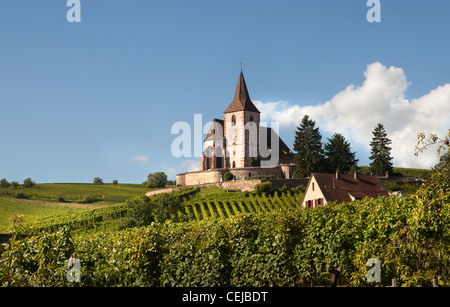 Kirche von Hunawihr Wein Dörfchen mitten in Weinbergen des Elsass, Frankreich Stockfoto