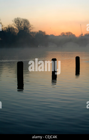 Nebligen Sunsrise am langen Wasser von Serpentine Bridge, Kensington Gardens, London, UK Stockfoto