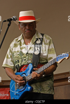 Sherman Robertson, Blues-Sänger, Gitarrist und Songwriter spielt auf dem Riverside Festival in Nottingham in 2007. Stockfoto