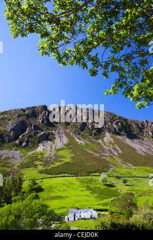 Wales, Gwynedd, Snowdonia-Nationalpark, Bauernhaus und Berge Stockfoto