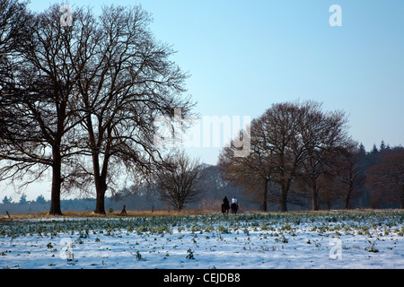 Zwei Reiterinnen Reiten durch Schneefelder an einem sonnigen Wintertag in den Chiltern Hills England UK Stockfoto