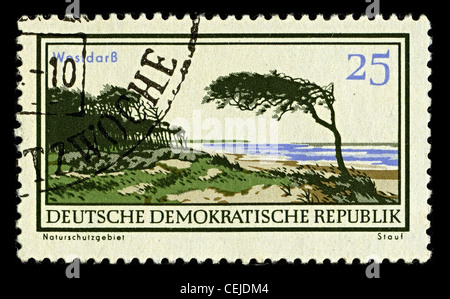 DDR-ca. 1980:A Stempel gedruckt in DDR zeigt Bild von der Darß ist der mittlere Teil von der Halbinsel Fischland-Darß-Zingst an der Südküste der Ostsee im Bundesland Mecklenburg-Vorpommern, circa 1980. Stockfoto