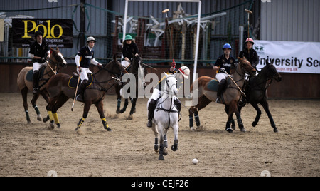 Reiter kämpfen um den Ball an einen Schulen und Universitäten-Polo-Turnier in der Nähe von Clevedon, North Somerset UK Stockfoto