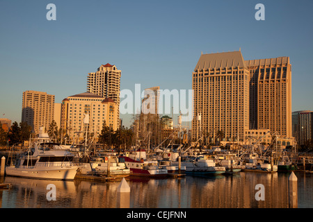 San Diego, Kalifornien - Thunfisch-Hafen und Hotels in der Innenstadt von San Diego. Stockfoto