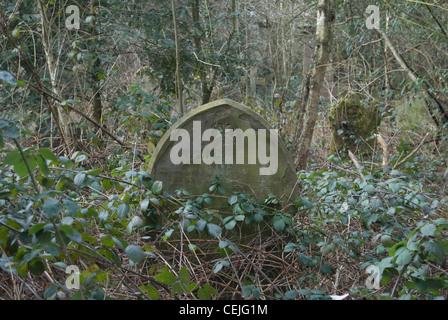 überwucherten Grabstein auf dem alten Barnes Cemetery in Südwesten von London, einem stillgelegten Friedhof an die Natur zurückgegeben wird Stockfoto