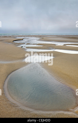 Gezeiten-Pools am Sandstrand bei Ebbe und Regenwolken über Cap Blanc Nez, Pas-de-Calais, Frankreich Stockfoto