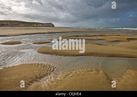 Gezeiten-Pools am Sandstrand bei Ebbe am Cap Blanc Nez, Pas-de-Calais, Frankreich Stockfoto