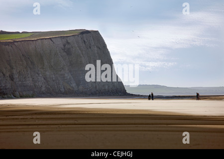 Die weißen Kreidefelsen und der Strand bei Ebbe am Cap Blanc Nez, Pas-de-Calais, Frankreich Stockfoto