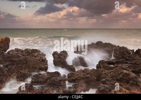 Felsenküste am Sonnenuntergang, Coral Cove State Park, Blowing Rocks State Park, Florida, USA Stockfoto