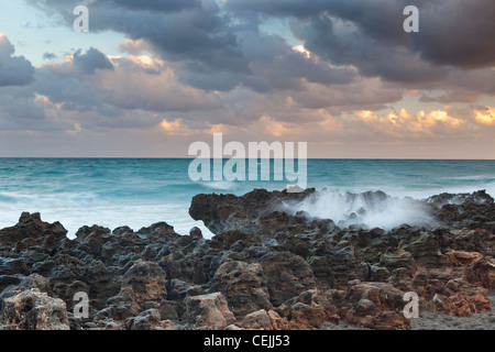 Felsenküste am Sonnenuntergang, Coral Cove State Park, Blowing Rocks State Park, Florida, USA Stockfoto