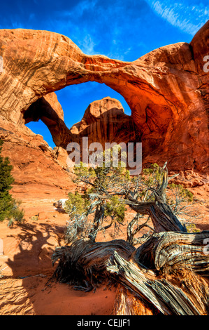 Doppelbogen ist ein Vogelschutznetz paar natürliche Bögen, eines der bekannteren Merkmale des Arches National Park in Utah, USA Stockfoto