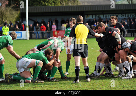 Rugby-Spiel, Wharfedale Rugby Union Football Club, North Yorkshire UK Stockfoto