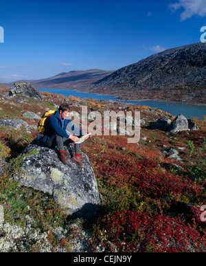 Mann auf einem Felsen sitzen und Lesen einer Karte, in der Nähe von Strynefjellsveg in Maradalen, Skjak, Oppland, Norwegen. Stockfoto