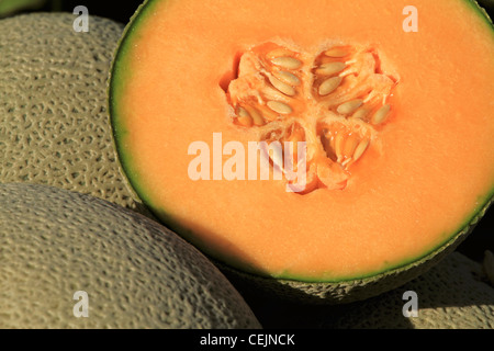 Landwirtschaft - Nahaufnahme von einem frisch geerntete Melone in zwei Hälften geschnitten / Imperial Valley, Kalifornien, USA. Stockfoto