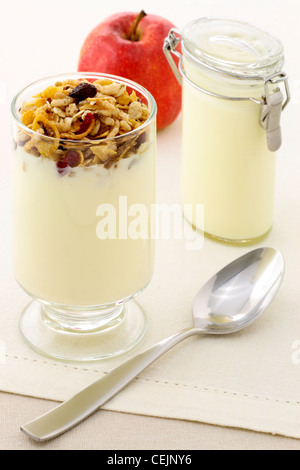 köstliche gesunde Parfait mit cremigem Joghurt und knusprige Müsli oder Müsli gemacht Stockfoto