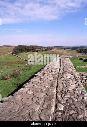 Hadrian Mauerbau in Roman Britain gesehen hier Verlängerung Ferne bei Housesteads Fort Stockfoto