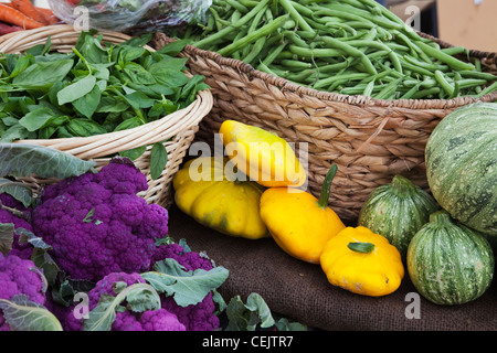 Frischen Bio-Produkten auf einem Bauernmarkt; lila Blumenkohl, Pattypan Squash, Globus Sommerkürbis, Basilikum und grünen Bohnen. Stockfoto