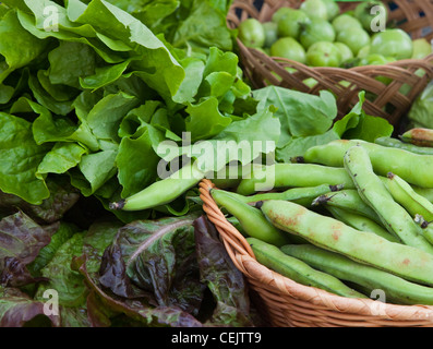 Landwirtschaft - frischen Bio-Produkten auf einem Bauernmarkt; Blattgemüse und Fava Bohnen / Whitefish, Montana, USA. Stockfoto