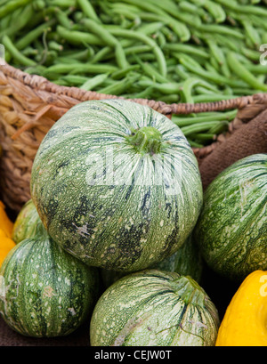 Landwirtschaft - frischen Bio-Produkten auf einem Bauernmarkt; Globe Sommerkürbis und grüne Bohnen / Whitefish, Montana, USA. Stockfoto