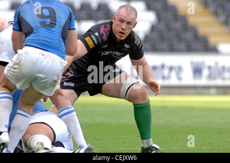 Neue Ospreys Rugby Coach Steve Tandy abgebildet in seiner aktiven Zeit für den Verein im Jahr 2009. Stockfoto