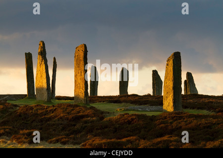 Ring of Brodgar Steinkreis, Orkney Stockfoto