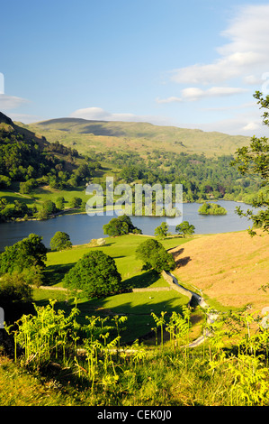 Lake District National Park, Ambleside, Cumbria, England. Osten über Rydal Wasser von Loughrigg Terrasse. Sommer Stockfoto