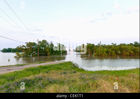 Landwirtschaft - Kornlift überflutet von der Mississippi-Hochwasser von 2011 / Goodrich Landing, Louisiana, USA. Stockfoto