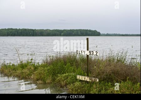 Ein Soja-Feld komplett von Hochwasser überschwemmt, während die Mississippi-Hochwasser des Jahres 2011 / Valley Park, Mississippi, Vereinigte Staaten. Stockfoto