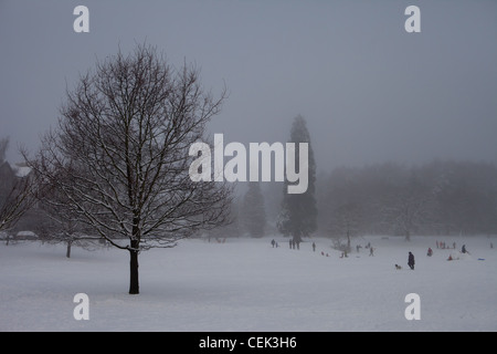 Familie an einem nebligen Tag im Schnee spielen. Stockfoto