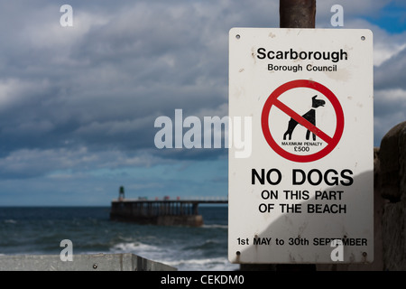 Ein Zeichen in Scarborough von ihrer Borough Council, die keine Hunde auf diesem Teil des Strandes zwischen Mai und September informative sagt Stockfoto