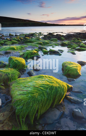 Sonnenuntergang am Sande Mussetter auf der Insel Eday, Orkney Inseln, Schottland. Stockfoto