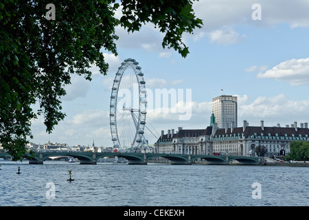 Das London Eye und Westminster Bridge genommen bilden die Themse-Ufer mit einem Baum, die Gestaltung des Bildes Stockfoto