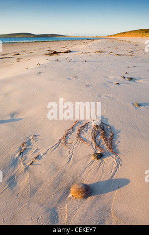 Der Sand des Mussetter auf der Insel Eday, Orkney Inseln, Schottland. Stockfoto