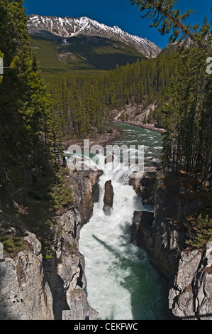 SUNWAPTA FALLS, JASPER NATIONALPARK, KANADISCHE ROCKY MOUNTAINS, ALBERTA, KANADA Stockfoto