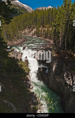 SUNWAPTA FALLS, JASPER NATIONALPARK, KANADISCHE ROCKY MOUNTAINS, ALBERTA, KANADA Stockfoto