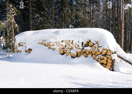 Protokolle unter dem Schnee Stockfoto