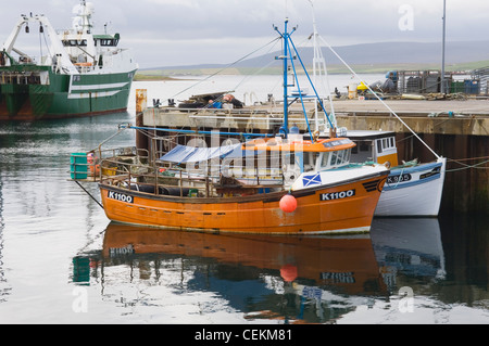 Angelboote/Fischerboote im Hafen von Stromness, Orkney, Schottland. Stockfoto