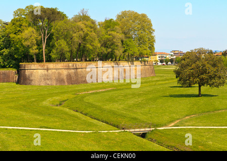 Lucca Wand Stadtbefestigung im Frühjahr, Toskana, Italien Stockfoto