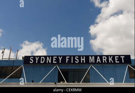 Sydney Fish Market, Sydney Australien Stockfoto