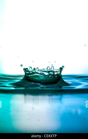 Wasser fallen die Crone im Wasser Stockfoto