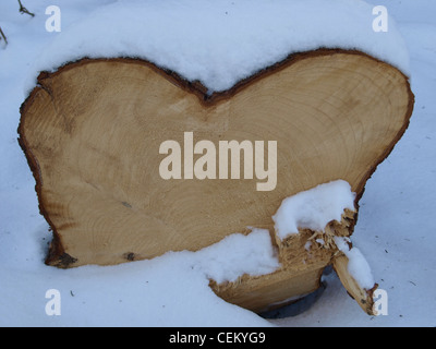 schneebedeckten Baumstamm in Herzform / Verschneiter Baumstumpf in Herzform Stockfoto