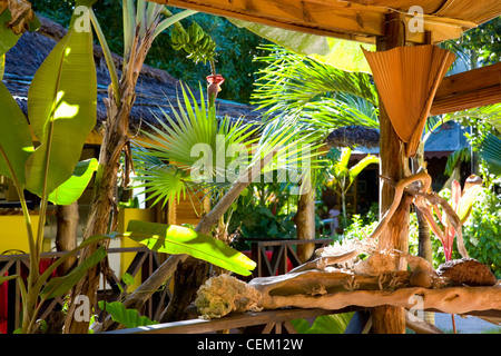 Anse Volbert, Praslin, Seychellen. Traditionelles Restaurant mit tropischer Vegetation und lokalen Materialien dekoriert. Stockfoto