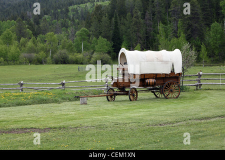 Planwagen in grünen Wiese in der Nähe von Bäumen und Zaun Stockfoto