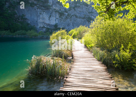 Nationalpark Plitvicer Seen, Lika-Senj, Kroatien. Blick entlang der Promenade am nördlichen Ende des Kaluderovac Sees. Stockfoto